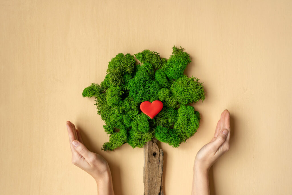 ¿Qué tipo de calefacción es la más ecológica?